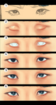 Painting the eyes [step by step] by fox-bro