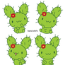 Cactus Bunny