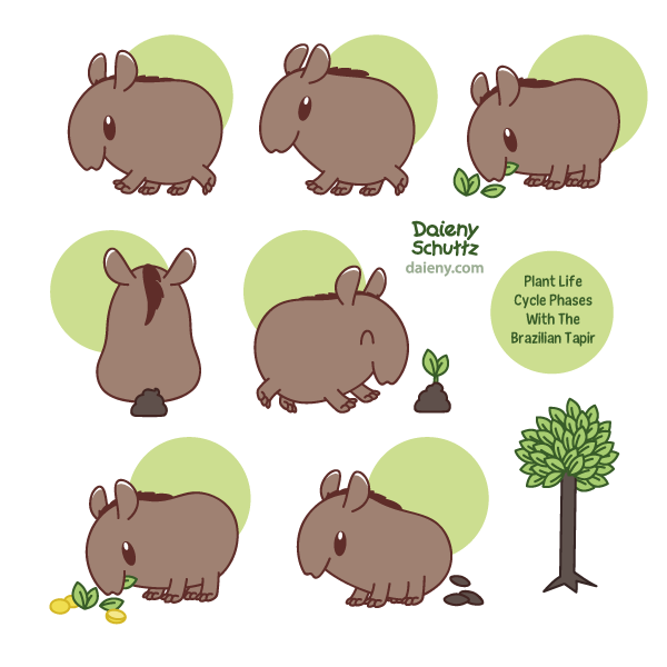 Capybaras by Daieny on DeviantArt