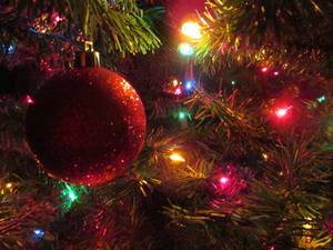 Happy Holidays 2012