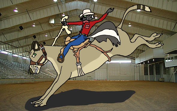 Timmie and Puma (Kitty) at the rodeo! by Anonymous-Guy-3000 on DeviantArt