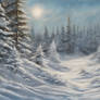 Sunlight's Gentle Touch on a Winter Canvas