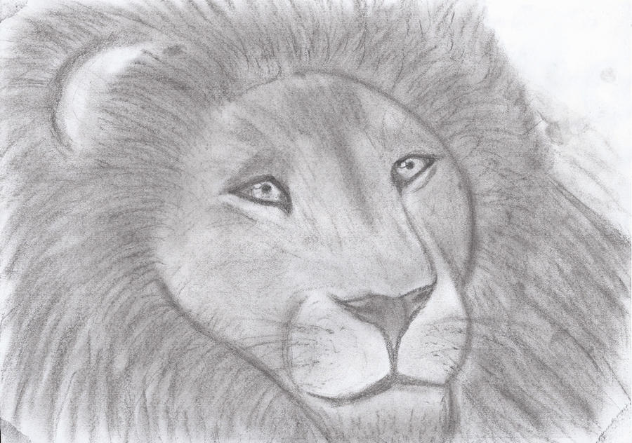 Aslan by Lily-so-sweet on DeviantArt