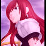 Erza -The Challenge-