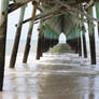 Under the Pier