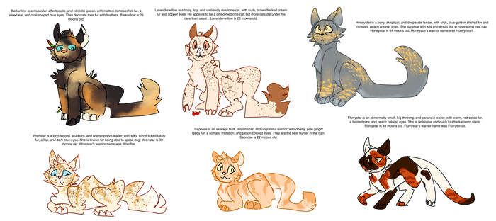 Random Warrior Cat Adopts || CLOSED