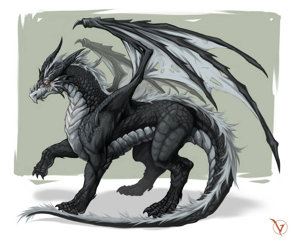 Pathfinder Dragon by MavenRavenArt on DeviantArt