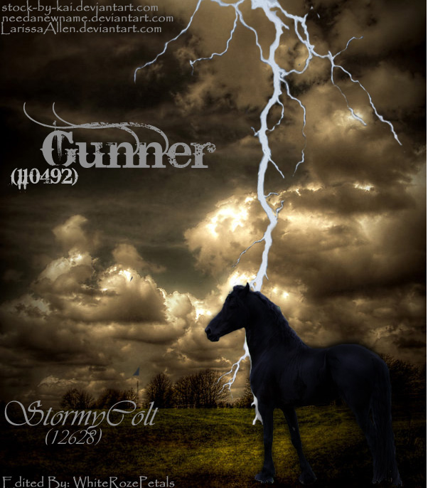 Gunner