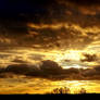 Gold Sky - Evening skies V