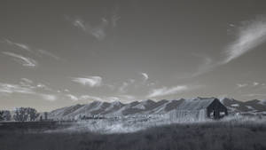 Landscape - Infrared