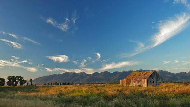 Landscape - Visible + Polarizer