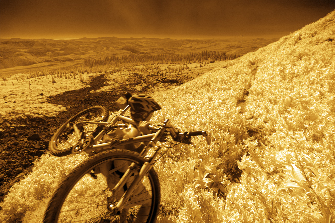 IR Biker in Foilage 2