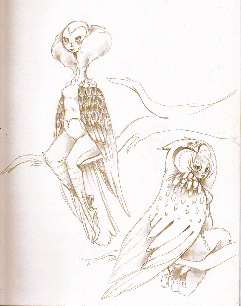 vulture and owl