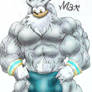 Colored Max-Silver