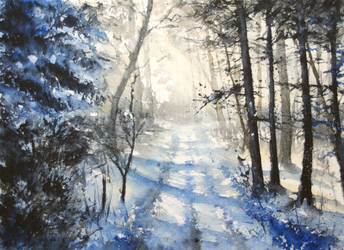 Winter forest