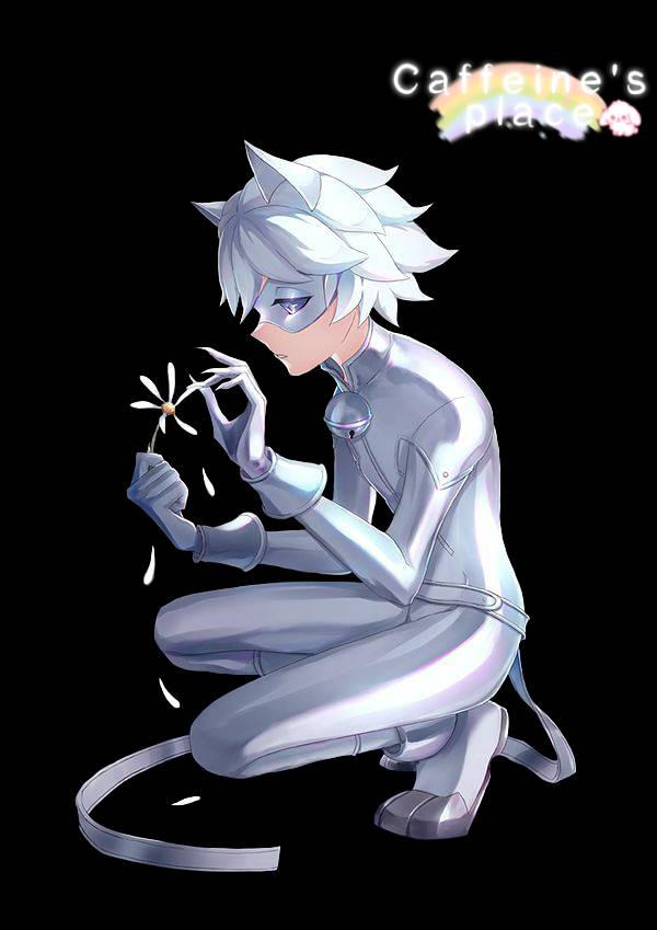 Cat Blanc Miraculous Render By Cafeinaaa On DeviantArt cat-blanc-miraculous-render-by-cafeinaaa-on-deviantart
