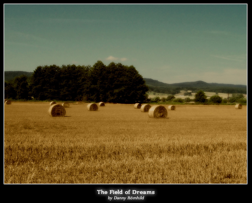 The Field of Dreams