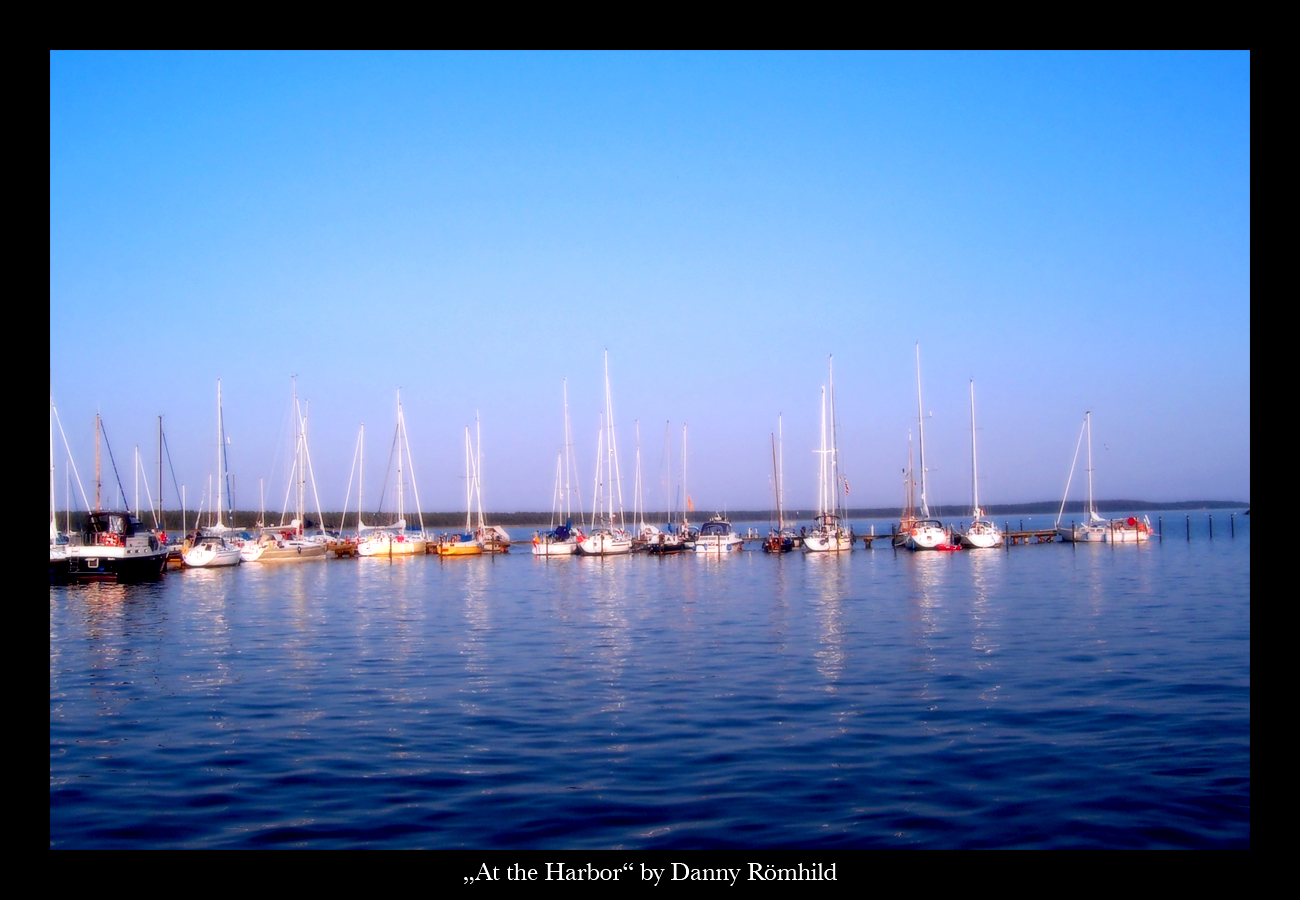 At the Harbor