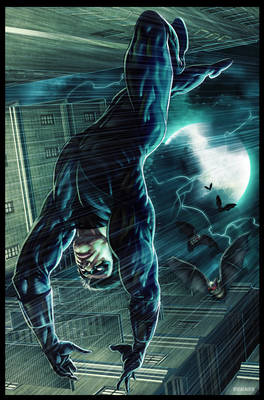 NightWing  The fall