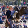 2010-206 Falconer at Work