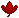 Maple Leaf by catluvr2