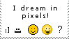 I dream in pixels