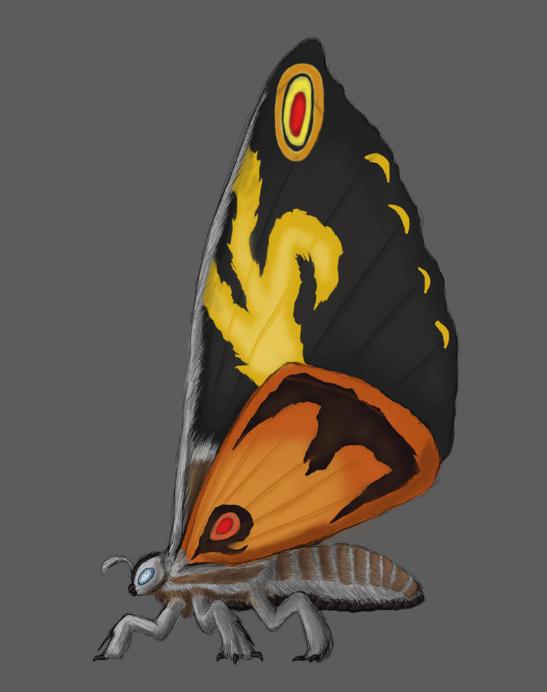 Mothra by ElessarIsmail2005 on DeviantArt