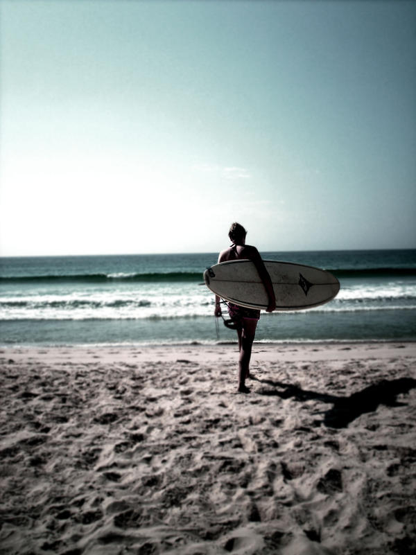 surf.