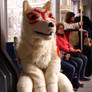 Amaterasu loves the streetcar