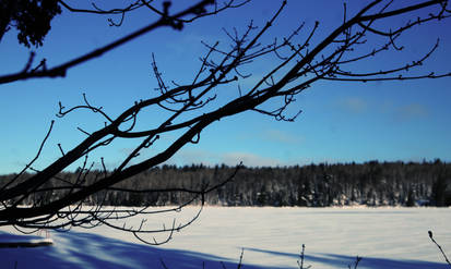 Frozen Lake