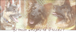 German Shepherd Banner by NatalieArcher