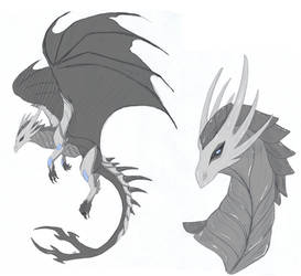 Armored dragon (Adopt SOLD)