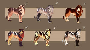 Lion adopts [6\6 OPEN] by Lidelman