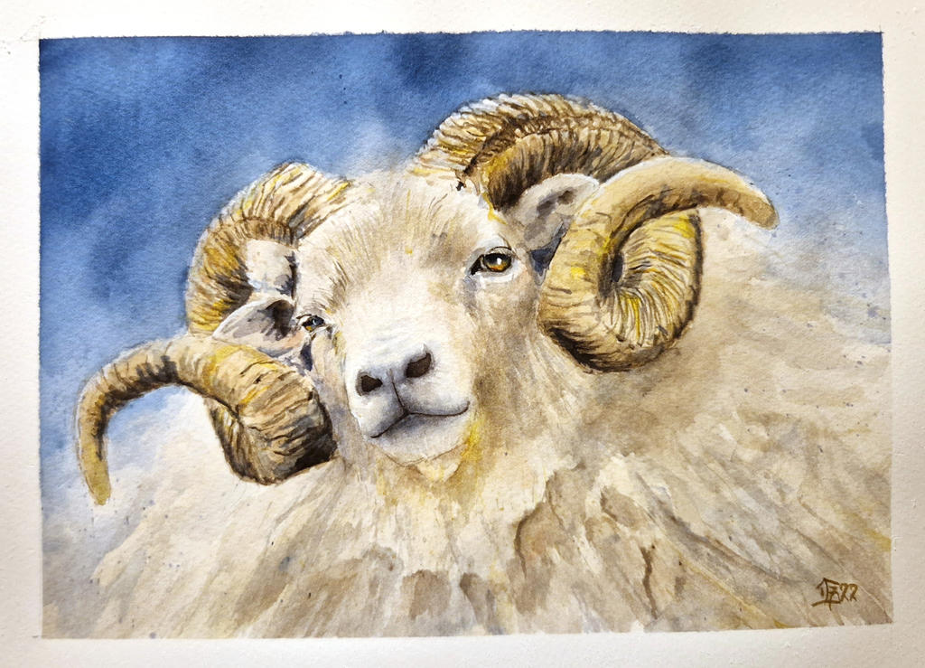 Iceland Handmade Rams Icelandic ram by jogusan on DeviantArt