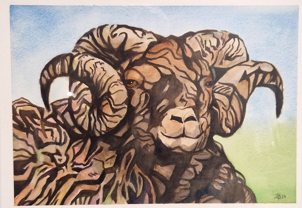 Iceland Handmade Rams Icelandic ram by jogusan on DeviantArt