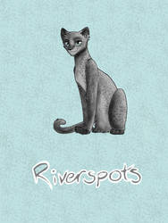 Riverspots