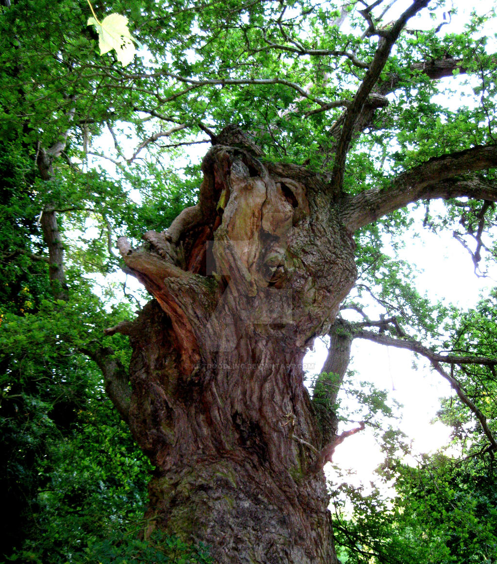 Tree with character by KatDoodling on DeviantArt