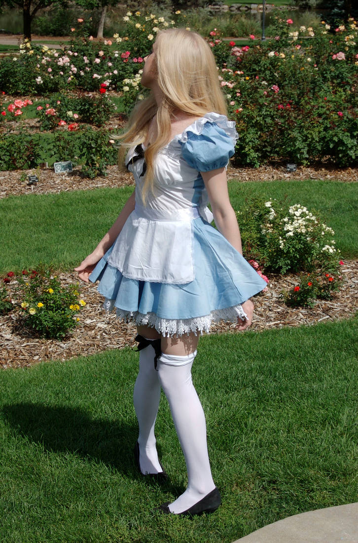 Alice in Wonderland 7 by the-little-skylark on DeviantArt