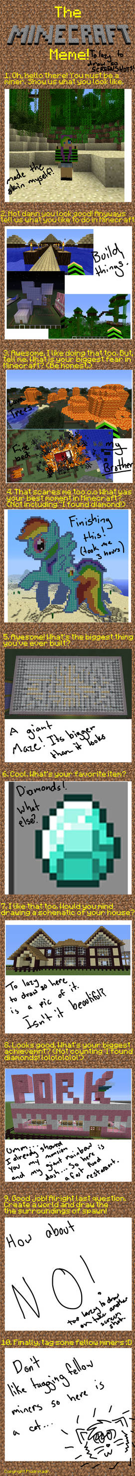 Minecraft meme