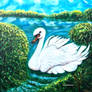 The Swan....