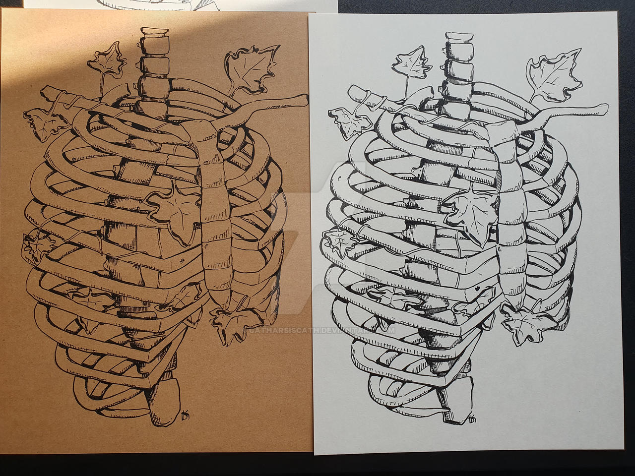 Rib Cage by Catharsiscath on DeviantArt