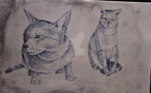 My attempts to make tattoos of cats