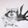 Raccoon