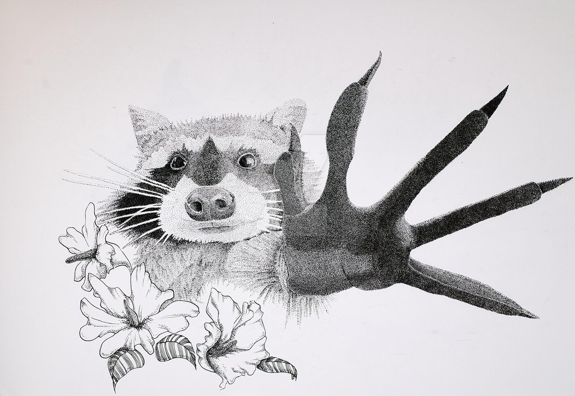 Deviantart Racoon Raccoon by Catharsiscath on DeviantArt