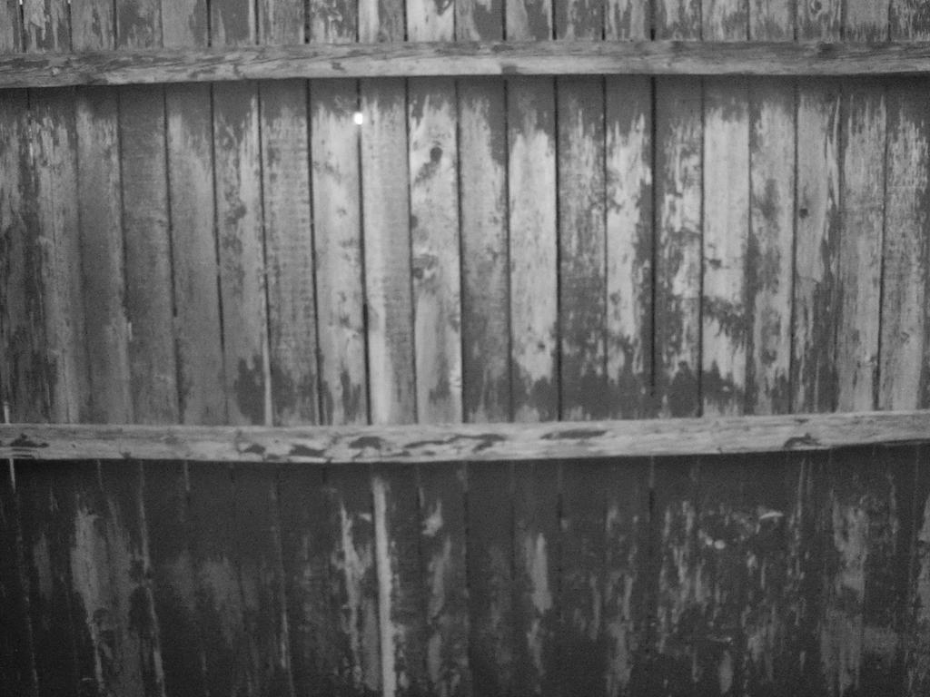 BnW_Scratched up Fence