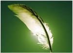 feather in front of the sun by cimengizem