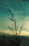 Greensleeves by cimengizem