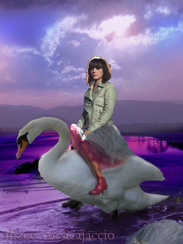 Cygne Alizee