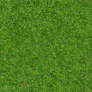 Seamless Tiling - Grass