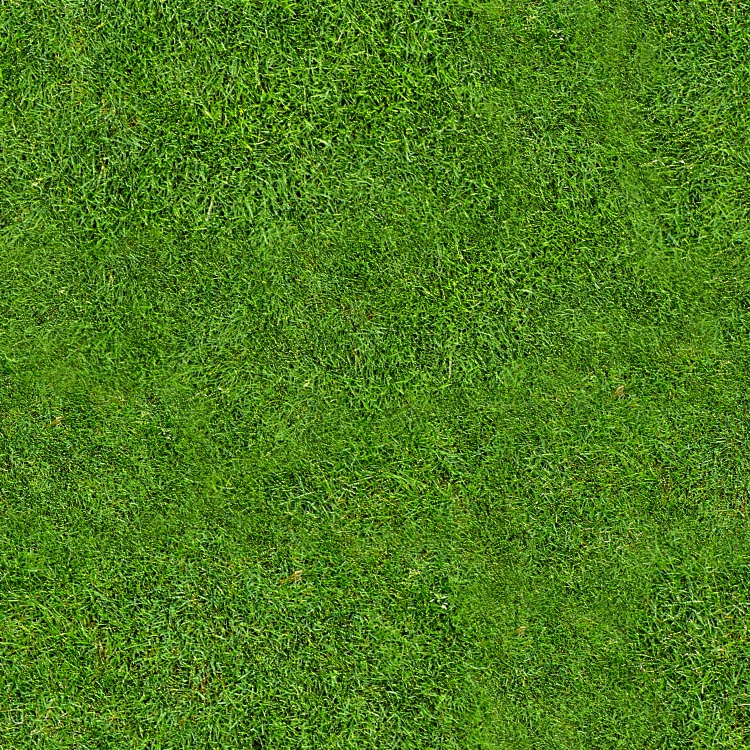 Seamless Tiling - Grass